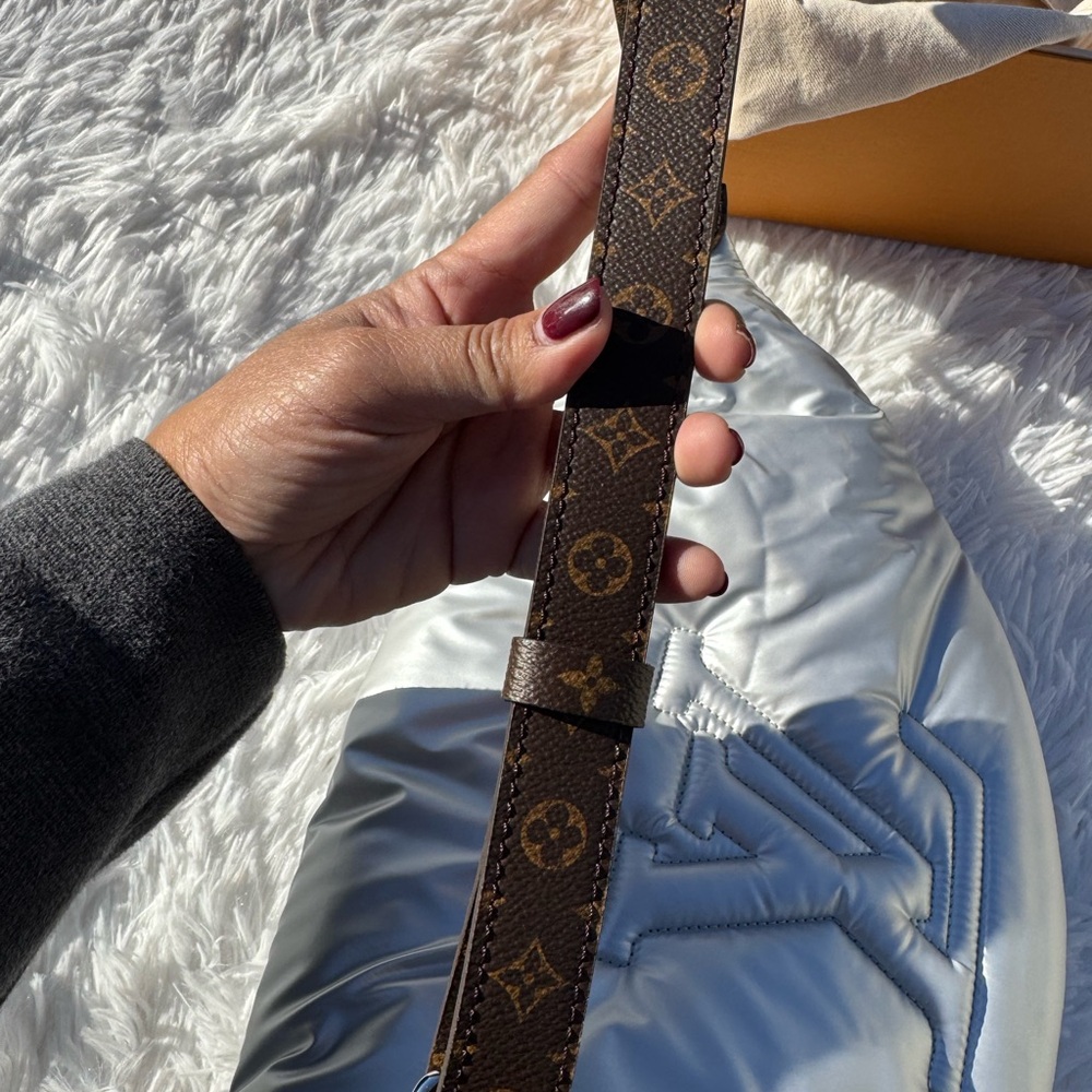Louis Vuitton Bumbag Maxi Pillow - Picture 7 of 11